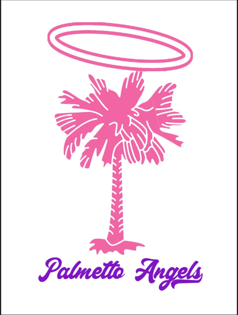 Logo for Palmetto Angels