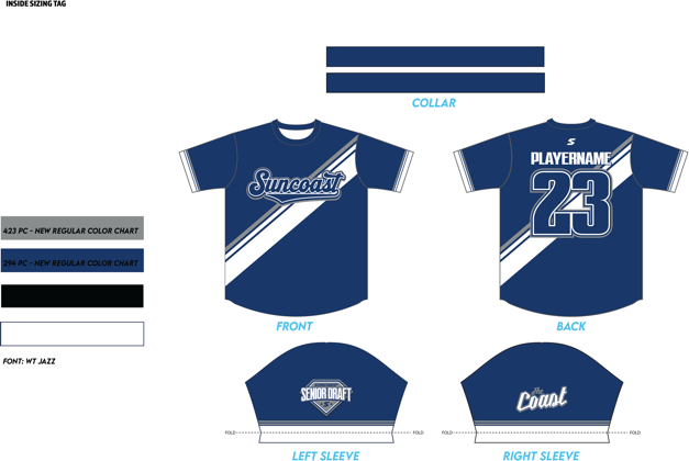 Paid to Play II Jersey